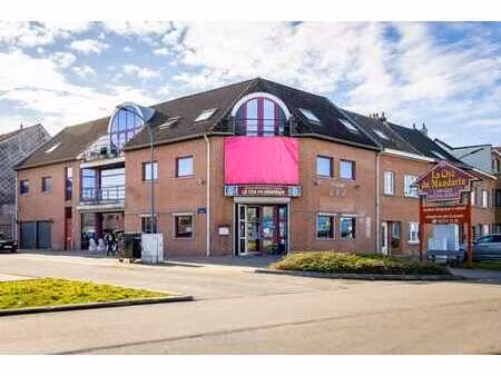 immeuble commercial avec logement