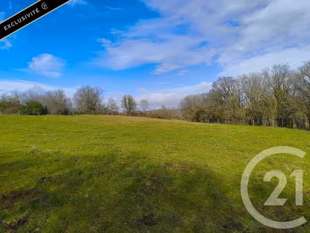 vente terrain à batir 9017 m² à saint-projet (46300)  39 000 €