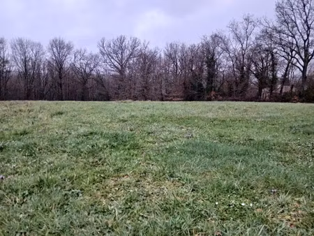 vente terrain 4000 m² à riberac (24600)  40 000 €