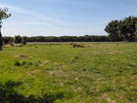 vente terrain à calorguen (22100) : à vendre / calorguen