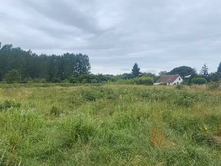 vente terrain 3379 m² à labrit (40420)  58 000 €