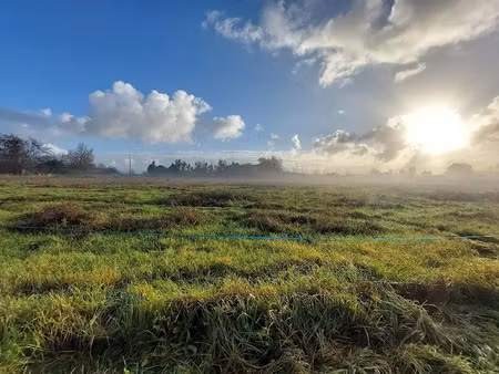 vente terrain 1000 m² à port-sainte-foy-et-ponchapt (33220)  52 000 €