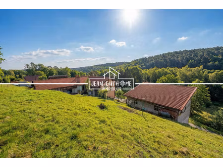 ferme 151m2 habitables avec dépendances - 5 chambres - 6317m