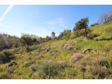 vente terrain à batir 7309 m² à roquefort-les-pins (06330)  550 000 €