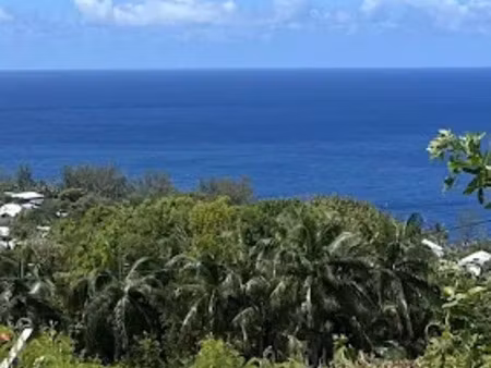 vente terrain à batir à saint joseph (97480)  187 000 €