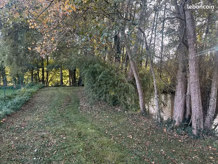 vente commerce 2967 m² bouchamps-lès-craon (53800)