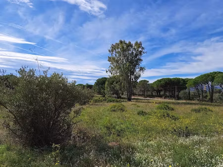 vente terrain 656 m² à puget-sur-argens (83480)  250 000 €