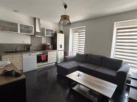 appartement meublé nancy centre