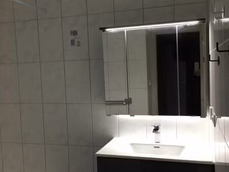 appartement t2 52m2 cuisine et sdb équipées