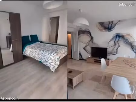 grand t2 de 60m2 refait a neuf tout équipé