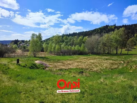 vente terrain à batir 4185 m² à le tholy (88530)  156 700 €