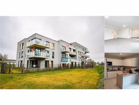 appartement à louer à rue du tilleul 4 hannut (rbv30630)