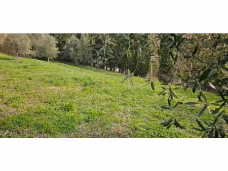 vente terrain 1066 m² à valbonne (06560)  395 000 €