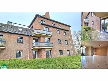 rez-de-chaussée à louer à dampoortstraat 245 sint-kruis (rbv30819)