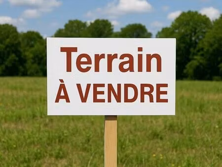terrain avec ruine
