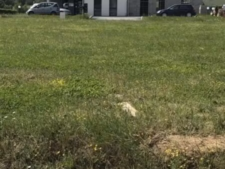 terrain 733 m² mouilleron en pareds