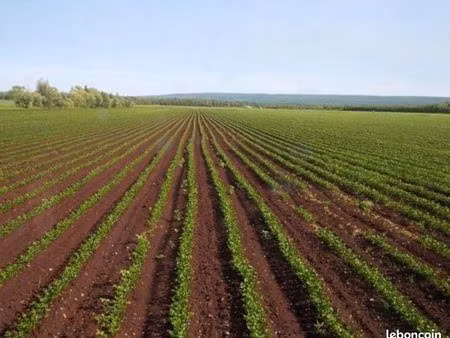 recherche terrain agricole
