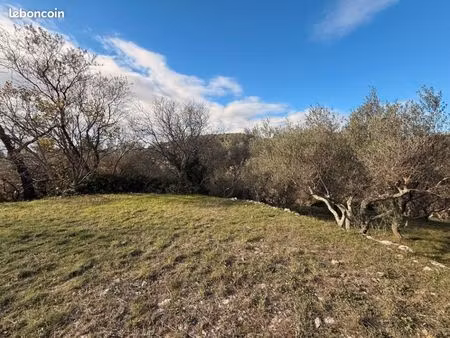 terrain 1 005 m² carnoules