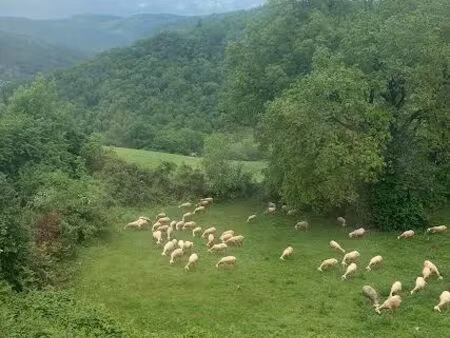 maison à ossature bois tarn cadre idyllique