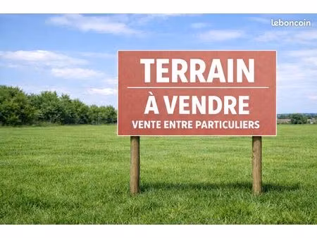terrain constrcuctible