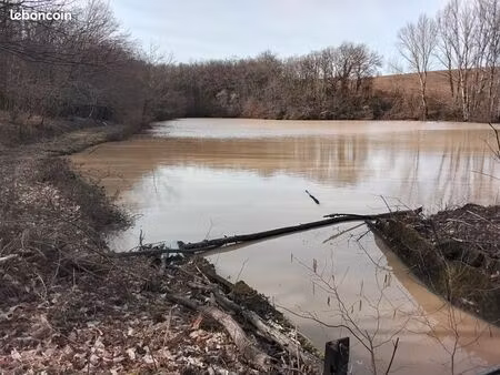 bois avec plan d'eau