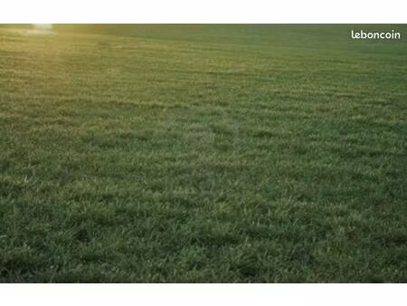 terrain 1 000 m² la tranche sur mer