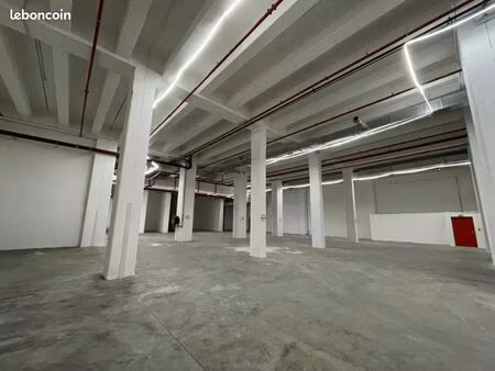 local industriel 4 498 m²