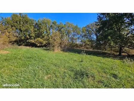 terrain 2000 m² la salvetat-belmontet