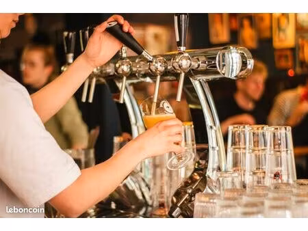 magnifique restaurant brasserie