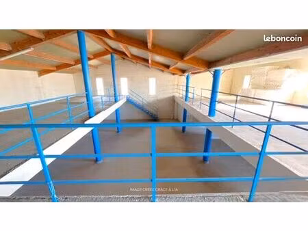 local 555 m² cuers