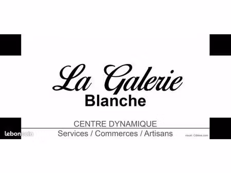 locaux commerciaux 30m2