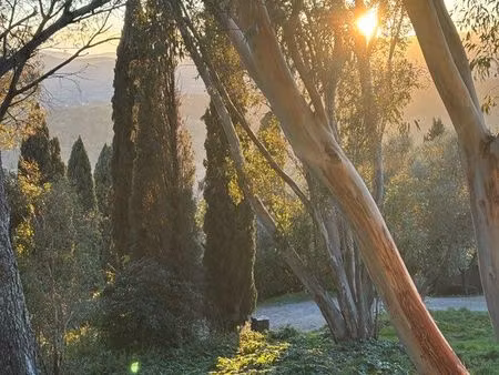 recherche appartement cogolin