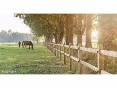 recherche pré pour jument