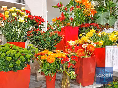 fonds de commerce fleuriste la roche sur yon
