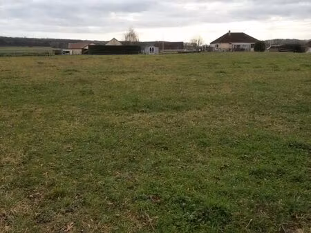 terrain constructible non viabilisé de 6907m2