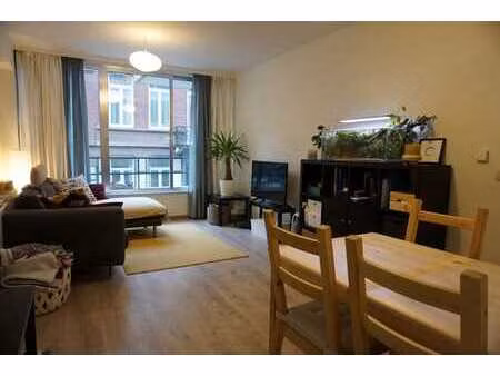 gezellig appartement met kelderberging in hartje stad