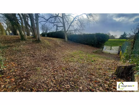 beau terrain aux portes d'amboise