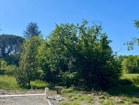 terrain à vendre viabilisé le taillan medoc (33) libre de constructeur