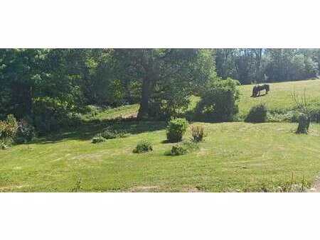 vente terrain à laillé (35890) : à vendre / laillé