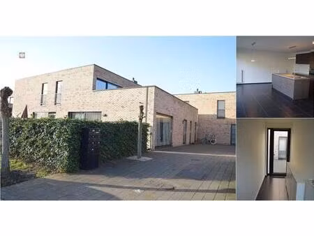 rez-de-chaussée à louer à mispelweg 6 willebroek (rbv31051)