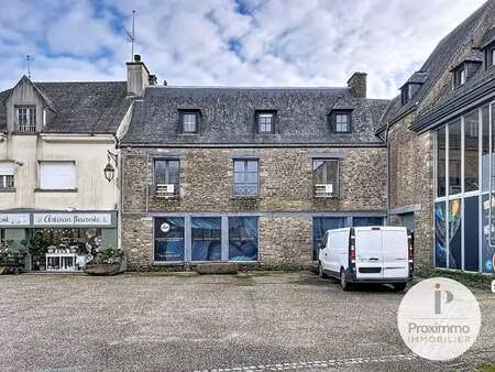 vente maison à malansac (56220) : à vendre / 231m² malansac