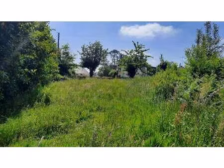 vente terrain à saint-quay-portrieux (22410) : à vendre / 598m² saint-quay-portrieux
