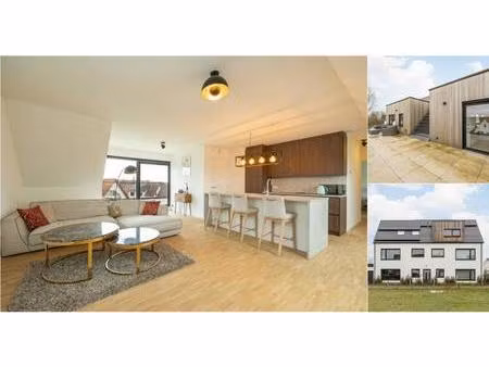 penthouse à louer à tulpenlaan 17 ranst (rbv31163)