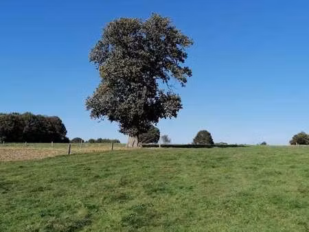 vente maison à ceaucé (61330) : à vendre / 1m² ceaucé