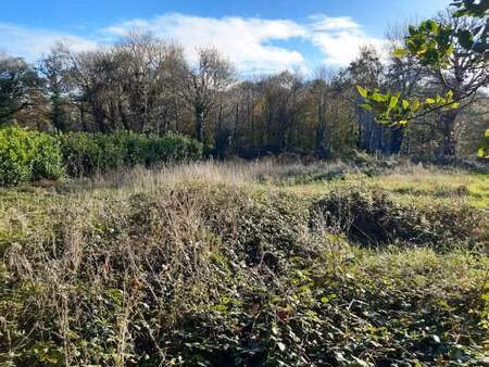 vente terrain à landudec (29710) : à vendre / 1403m² landudec