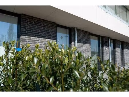 appartement te huur in schilde met 2 slaapkamers