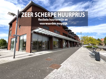 commercieel te huur in maaseik