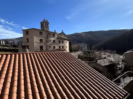 vente maison 2 pièces 42.62 m² à prats-de-mollo-la-preste (66230)  99 000 €