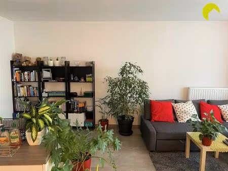 appartement te huur in mortsel met 1 slaapkamer