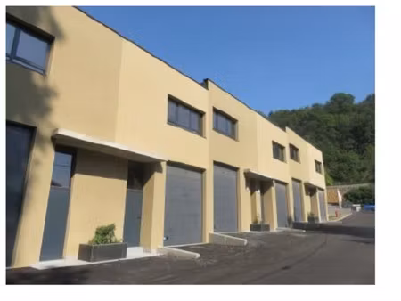 location local professionnel 1 975m² fleurieu sur saone 69250